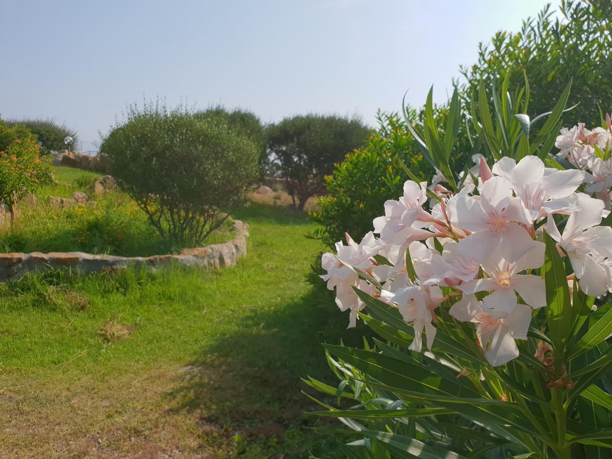 لا ماداّلينا Villa Sprafundu المظهر الخارجي الصورة